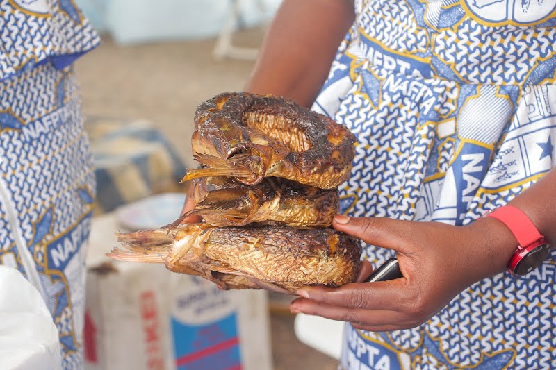 A woman holding smoked fish in his hand during Fish Festival in Ghana ? Photo by Fquasie, CC BY-SA 4.0, via Wikimedia Commons