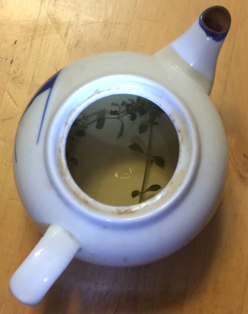 Mint tea that I made. ? Photo by Red-back spider, CC BY-SA 4.0, via Wikimedia Commons