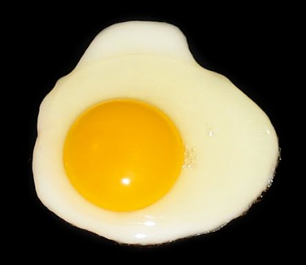A fried egg, sunny side up. ? Photo by David Benbennick, Public domain, via Wikimedia Commons