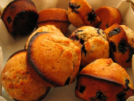 Mini blueberry muffins.Blueberry muffins ? Photo by Rob Pongsajapan from Arlington, VA, USA, CC BY 2.0, via Wikimedia Commons